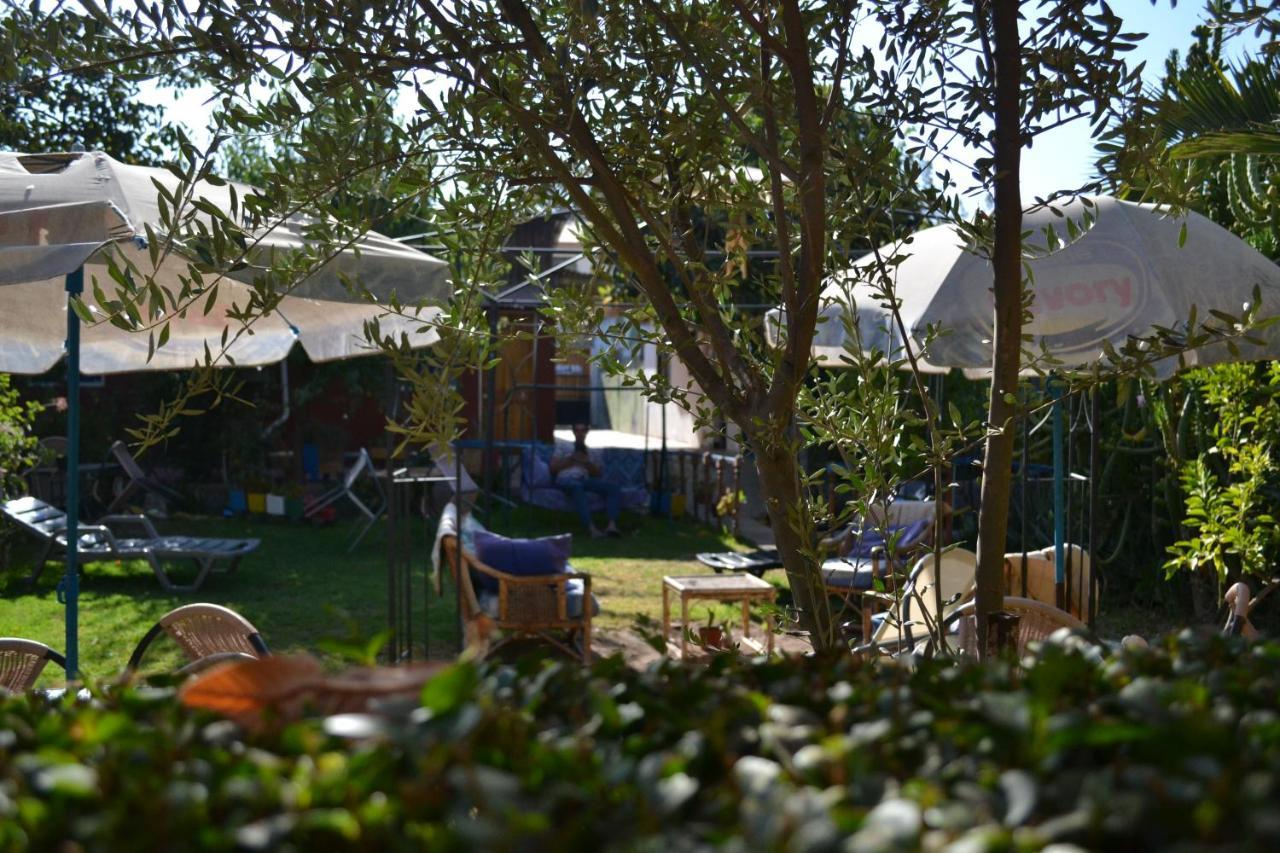 Hostal Michel Vicuña Exterior foto
